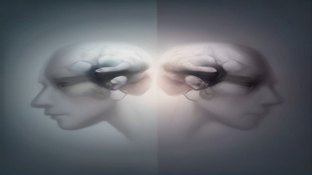 Brain Fog vs. Early Dementia: When Should You Actually Worry?